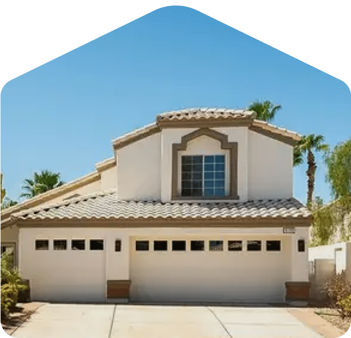 Modern house with palm trees.